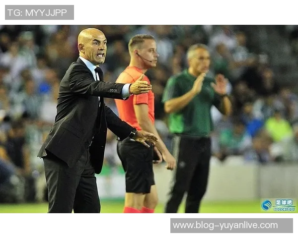 伊朗与西班牙足球对决分析及体彩让球投注策略探讨