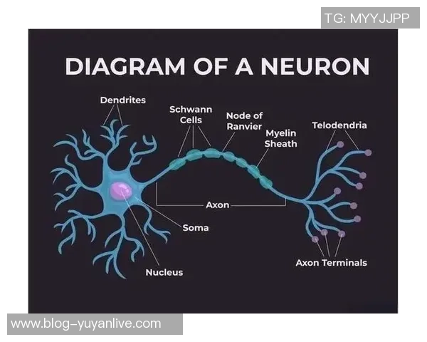 布莱克尼的神秘旅程探索未知与发现的奇妙世界